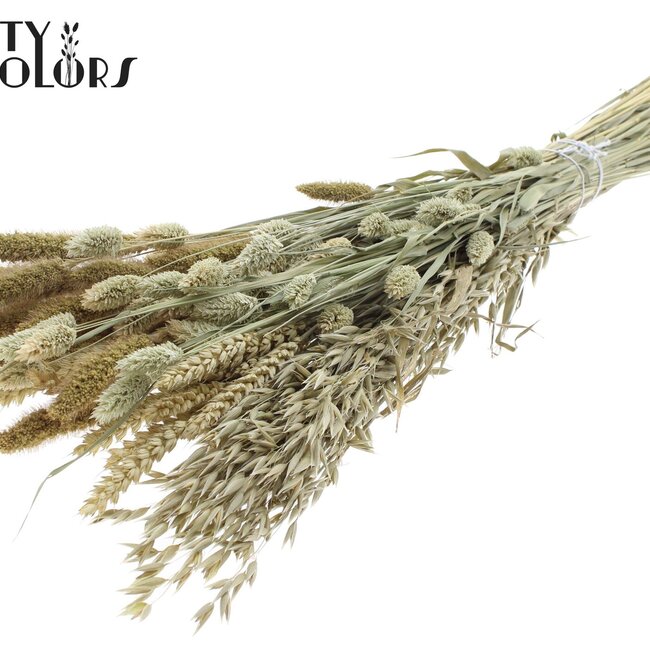 Bouquet de Fleurs Séchées Mélange | Couleur : Naturel Blanc Brun | Longueur ± 60 centimètres | Par bouquet