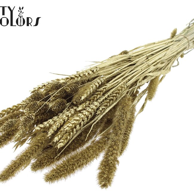 Gedroogde Bloemenmix Boeket | Kleur: Goudkleurig met Glitter | Lengte ± 60 centimeter | Per bos