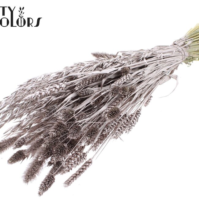Dried Flower Mix Bouquet | Colour: Champagne | Length ± 60 centimetres | Per bunch