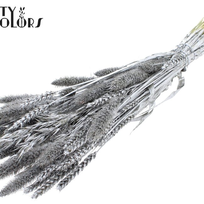 Dried Flower Mix Bouquet | Colour: Silver | Length ± 60 centimetres | Per bunch