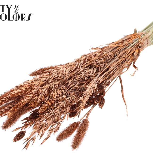 Getrockneter Blumenmix Strauß | Farbe: Kupferfarben mit Glitzer | Länge ± 60 Zentimeter | Pro Bund