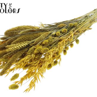 QC Gedroogde Bloemenmix Boeket | Kleur: Geel | Lengte ± 60 centimeter | Per bos