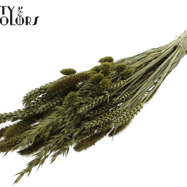 Gedroogde Bloemenmix Boeket | Kleur: Olijfgroen | Lengte ± 60 centimeter | Per bos