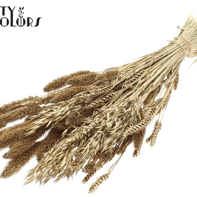 Dried Flower Mix Bouquet | Colour: Antique Gold | Length ± 60 centimetres | Per bunch
