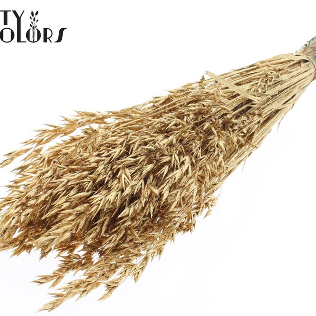 Getrockneter Hafer | Farbe: Antik Goldfarben mit Glitzer | Avena Trockenblumen | Länge ± 60 Zentimeter | Gewicht 250 Gramm | Pro Bund