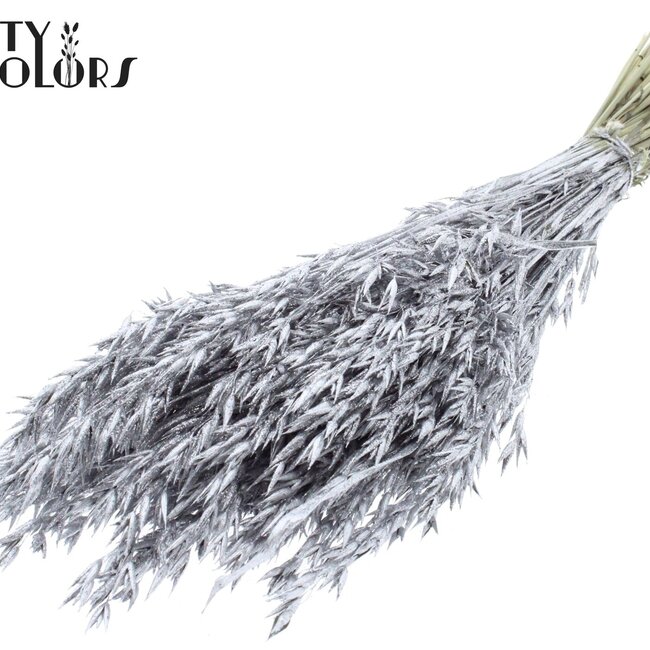 Getrockneter Hafer | Farbe: Silberfarben mit Glitzer | Avena Trockenblumen | Länge ± 60 Zentimeter | Gewicht 250 Gramm | Pro Bund