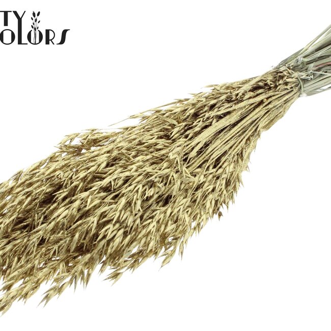 Gedroogde Haver | Kleur: Goudkleurig met Glitter | Avena droogbloemen | Lengte ± 60 centimeter | Gewicht 250 gram | Per bos