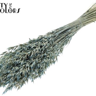 QC Avoine séchée | Couleur : Bleu clair perle | Avena fleurs séchées | Longueur ± 60 centimètres | Poids 250 grammes | Par bouquet