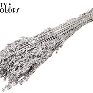 QC Avoine séchée | Couleur : Argenté | Fleurs séchées d'avoine | Longueur ± 60 centimètres | Poids 250 grammes | Par bouquet