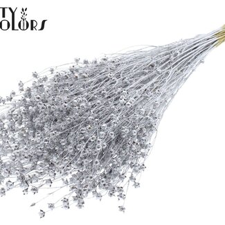 QC Gedroogd Vlas | Kleur: Zilverkleurig met Glitter | Linum Droogbloemen | Lengte ± 60 centimeter | Gewicht 150 gram | Per bos