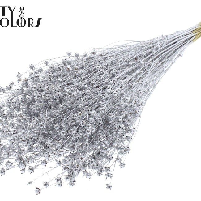Gedroogd Vlas | Kleur: Zilverkleurig met Glitter | Linum Droogbloemen | Lengte ± 60 centimeter | Gewicht 150 gram | Per bos