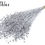 Dried Flax | Colour: Silver with Glitter | Linum Dried Flowers | Length ± 60 centimetres | Weight 150 grams | Per bunch