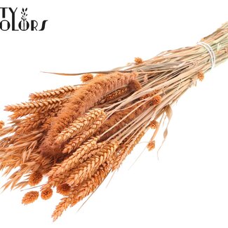 QC Dried Flower Mix Bouquet | Colour: Frosted Salmon | Length ± 60 centimetres | Per bunch