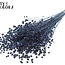 Dried Flax | Colour: Dark Blue | Linum Dried Flowers | Length ± 50 centimetres | Weight 150 grams | Per bunch