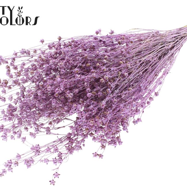 Dried Flax | Colour: Metallic Pink with Glitter | Linum Dried Flowers | Length ± 50 centimetres | Weight 150 grams | Per bunch
