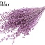 Gedroogd Vlas | Kleur: Metallic Roze met Glitter | Linum Droogbloemen | Lengte ± 50 centimeter | Gewicht 150 gram | Per bos