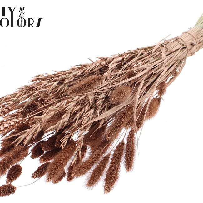 Dried Flower Mix Bouquet | Colour: Copper | Length ± 60 centimetres | Per bunch