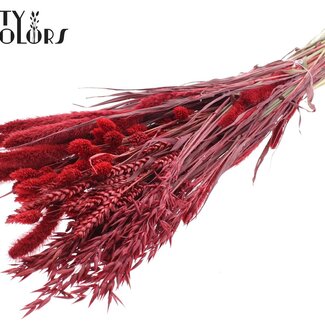 QC Dried Flower Mix Bouquet | Colour: Red | Length ± 60 centimetres | Per bunch