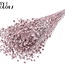 Gedroogd Vlas | Kleur: Champagnekleurig met Glitter | Linum Droogbloemen | Lengte ± 50 centimeter | Gewicht 150 gram | Per bos