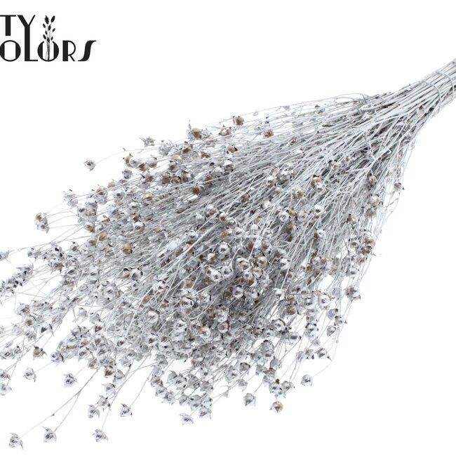 Dried Flax | Colour: Silver | Linum Dried Flowers | Length ± 50 centimetres | Weight 150 grams | Per bunch