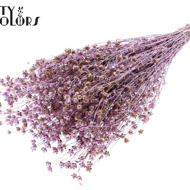 Getrockneter Flachs | Farbe: Metallic Rosa | Linum Trockenblumen | Länge ± 50 Zentimeter | Gewicht 150 Gramm | Pro Bund