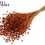 Dried Flax | Colour: Orange | Linum Dried Flowers | Length ± 50 centimetres | Weight 150 grams | Per bunch