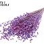 Dried Flax | Colour: Multicoloured Milka Purple | Linum Dried Flowers | Length ± 50 centimetres | Weight 150 grams | Per bunch