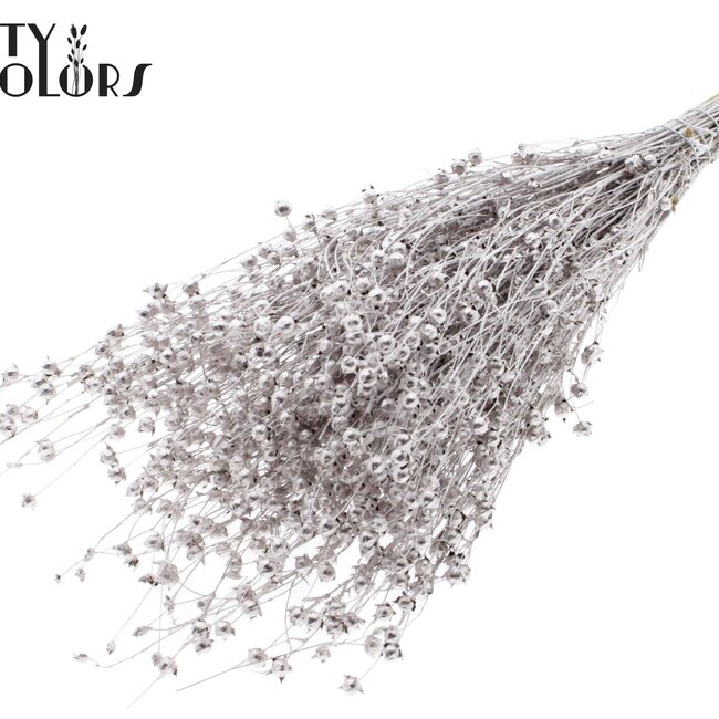 Lin séché | Couleur : Champagne | Fleurs séchées de lin | Longueur ± 50 centimètres | Poids 150 grammes | Par bouquet