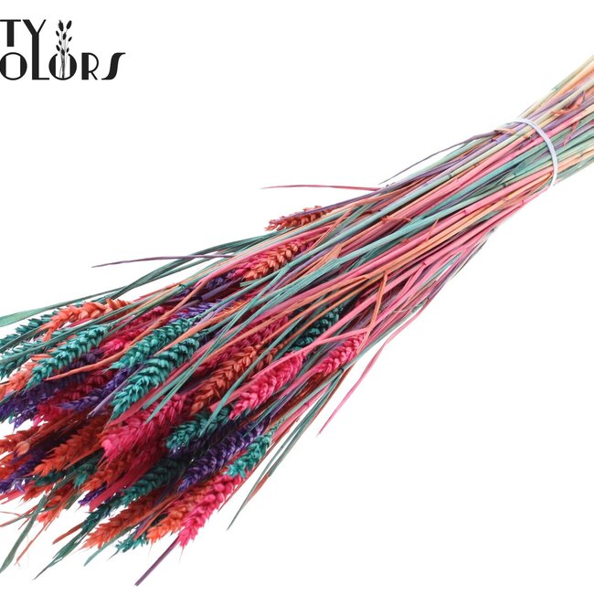 Sun-Bleached Wheat | Colourful 4 | Colour: Mixed Colours | Triticum Dried Flowers | Length ± 60 centimetres | Weight 220 grams | Per bunch