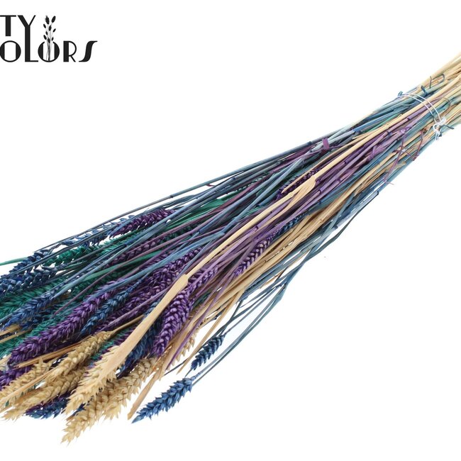 Sun-Bleached Wheat | Scandinavian Colours | Colour: Mixed Colours | Triticum Dried Flowers | Length ± 60 centimetres | Weight 220 grams | Per bunch