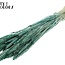 Getrockneter Weizen | Farbe: Pearl Türkis | Triticum Trockenblumen | Länge ± 60 Zentimeter | Gewicht 220 Gramm | Pro Bund