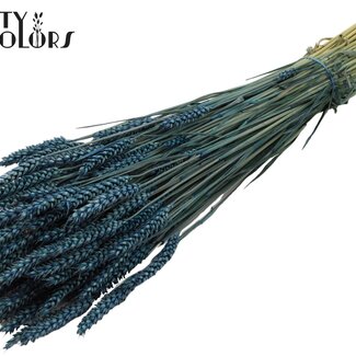 QC Getrockneter Weizen | Farbe: Dunkelblau | Triticum Trockenblumen | Länge ± 60 Zentimeter | Gewicht 220 Gramm | Pro Bund