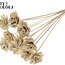 Beetal Rose on stick | Colour: Natural White Brown | Rose diameter 6 centimetres | Stick length ± 50 centimetres | Per 10 sticks