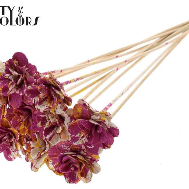 Beetal Rose op stok | Kleur: Meerkleurig Kerskleurig Geel | Diameter roos 6 centimeter | Lengte bijsteker ± 50 centimeter | Per 10 bijstekers