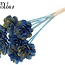 Beetal Rose op stok | Kleur: Gespetterd Blauw Geel | Diameter roos 6 centimeter | Lengte bijsteker ± 50 centimeter | Per 10 bijstekers