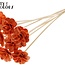 Beetal Rose met was op stok | Kleur: Oranje | Diameter roos 6 centimeter | Lengte bijsteker ± 50 centimeter | Per 10 bijstekers