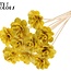 Beetal Rose with stick | Colour: Yellow | Rose diameter 6 centimetres | Stick length ± 50 centimetres | Per 10 sticks