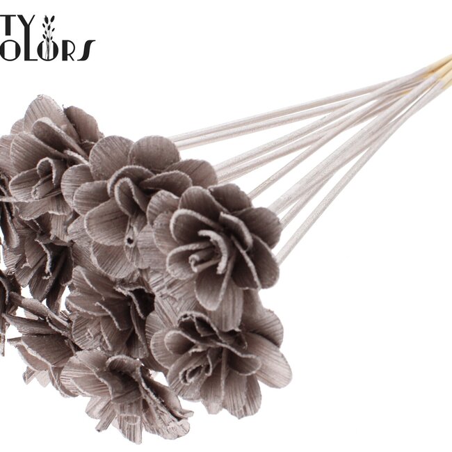 Beetal Rose on stem | Colour: Champagne | Rose diameter 6 centimetres | Stem length ± 50 centimetres | Per 10 stems