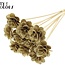 Beetal Rose auf Stiel | Farbe: Goldfarben | Durchmesser der Rose 6 Zentimeter | Länge des Steckers ± 50 Zentimeter | Pro 10 Stecker