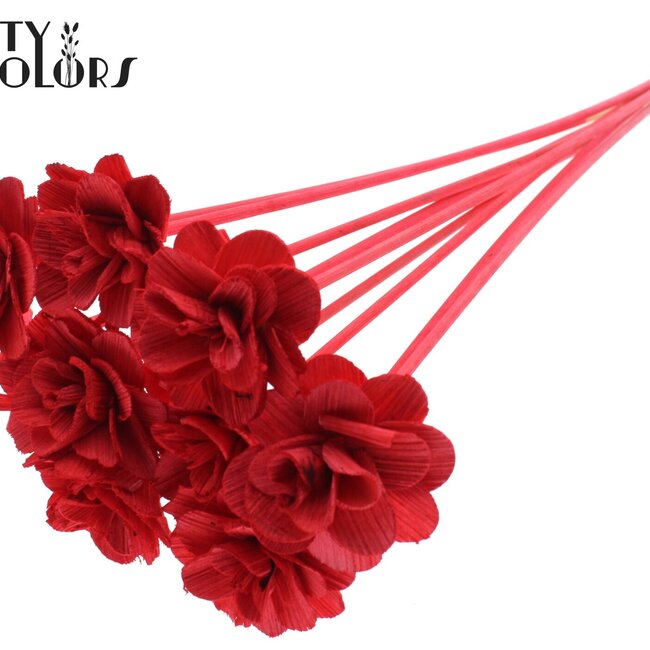 Beetal Rose op stok | Kleur: Rood | Diameter roos 6 centimeter | Lengte bijsteker ± 50 centimeter | Per 10 bijstekers