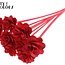 Beetal Rose auf Stiel | Farbe: Rot | Durchmesser der Rose 6 Zentimeter | Länge des Steckers ± 50 Zentimeter | Pro 10 Stecker