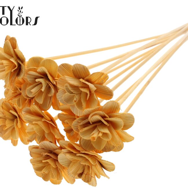 Beetal Rose auf Stiel | Farbe: Aprikosenfarben | Durchmesser der Rose 6 Zentimeter | Länge des Steckers ± 50 Zentimeter | Pro 10 Stecker