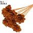 Beetal Rose on stick | Colour: Terracotta | Rose diameter 6 centimetres | Stick length ± 50 centimetres | Per 10 sticks