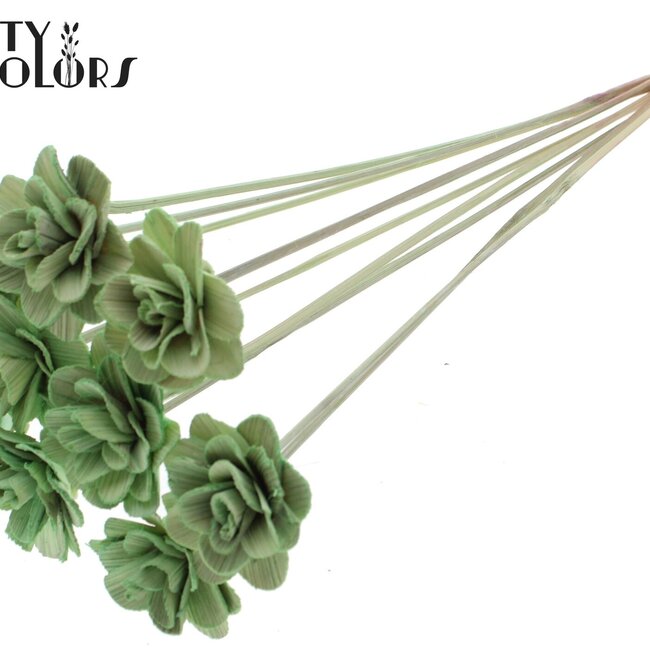 Beetal Rose on stick | Colour: Mint green | Rose diameter 6 centimetres | Stick length ± 50 centimetres | Per 10 sticks
