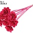 Beetal Rose op stok | Kleur: Kerskleurig | Diameter roos 6 centimeter | Lengte bijsteker ± 50 centimeter | Per 10 bijstekers