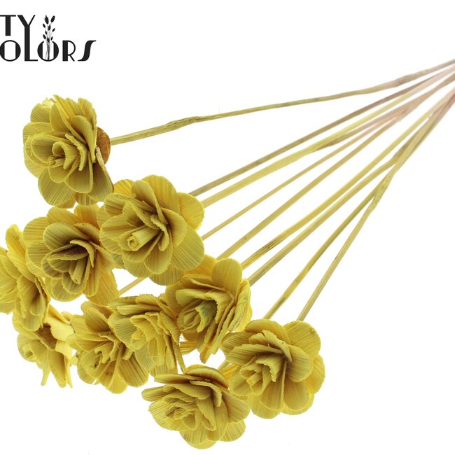 Beetal Rose sur tige | Couleur : Jaune | Diamètre de la rose 6 centimètres | Longueur du tuteur ± 50 centimètres | Par 10 tuteurs