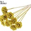 Beetal Rose sur tige | Couleur : Jaune | Diamètre de la rose 6 centimètres | Longueur du tuteur ± 50 centimètres | Par 10 tuteurs