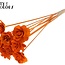 Beetal Rose op stok | Kleur: Oranje | Diameter roos 6 centimeter | Lengte bijsteker ± 50 centimeter | Per 10 bijstekers