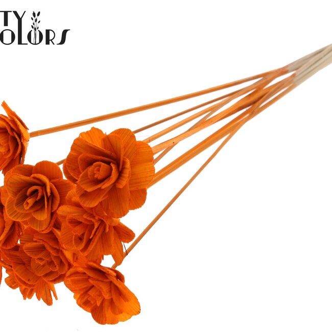 Beetal Rose on stick | Colour: Orange | Rose diameter 6 centimetres | Stick length ± 50 centimetres | Per 10 sticks