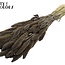 Gedroogde Setaria | Kleur: Frosted Grijs | Setarea droogbloemen | Lengte ± 70 centimeter | Gewicht 210 gram | Per bos
